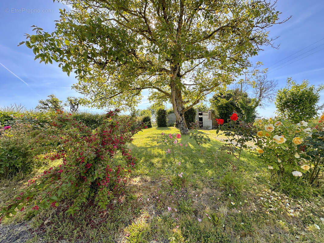 Maison à LA CHAPELLE-HEULIN