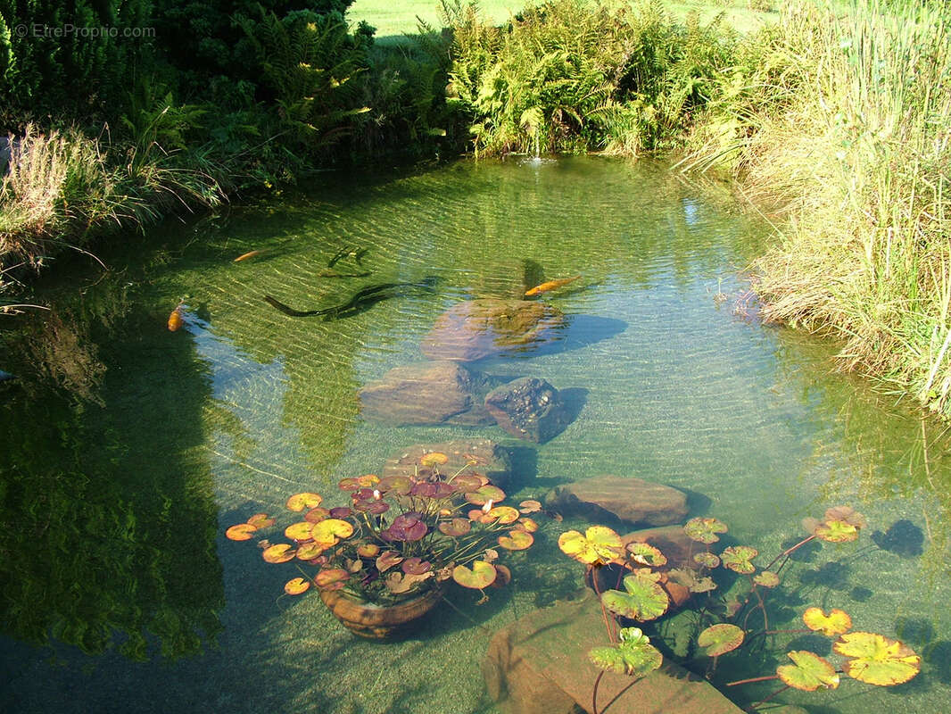 Maison à SAINT-DIE-DES-VOSGES