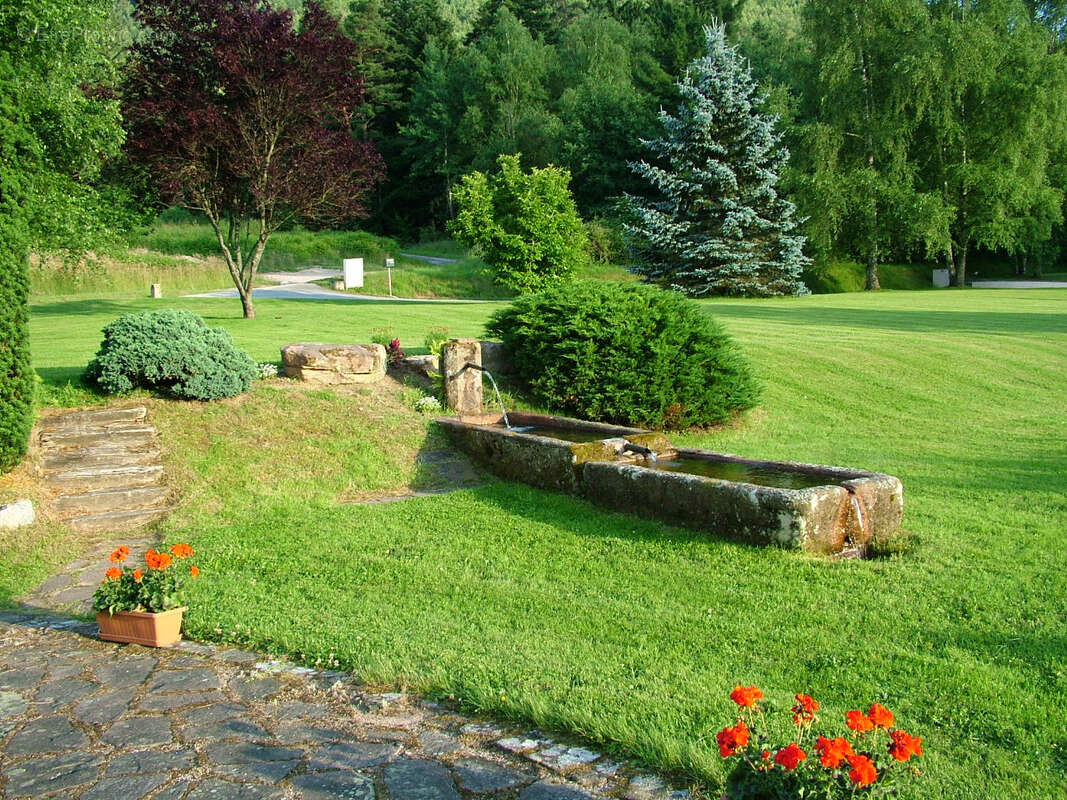 Maison à SAINT-DIE-DES-VOSGES