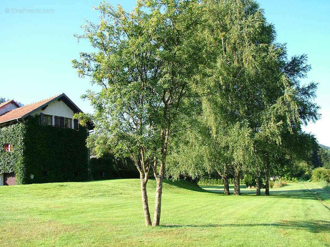 Maison à SAINT-DIE-DES-VOSGES