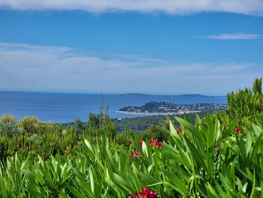 Maison à LA CROIX-VALMER
