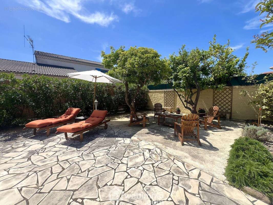 Le vis-à-vis a été traité sur chaque flan avec des brises vue et des haies - Maison à LUCCIANA