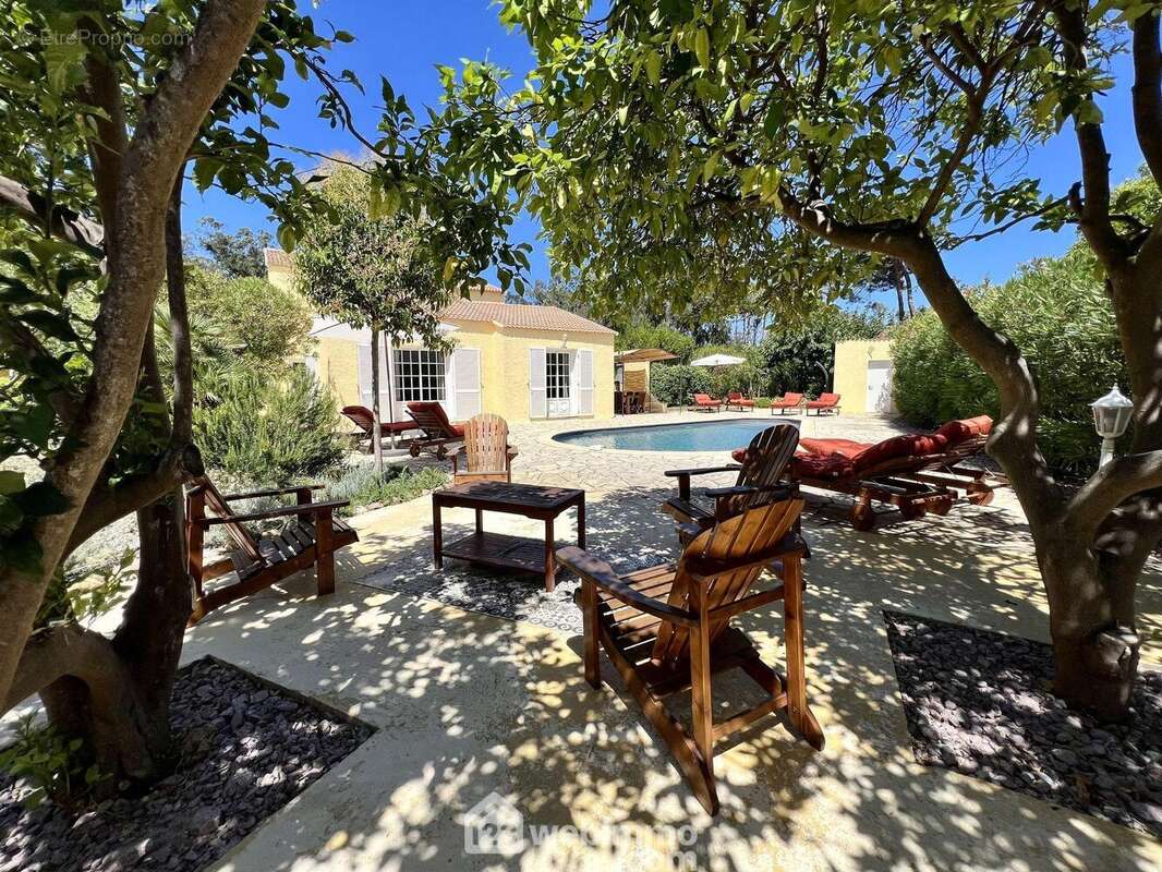 Les espaces extérieurs sont particulièrement soignés - Maison à LUCCIANA