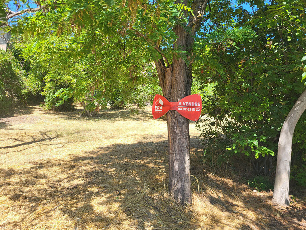 Terrain à DIGNE-LES-BAINS