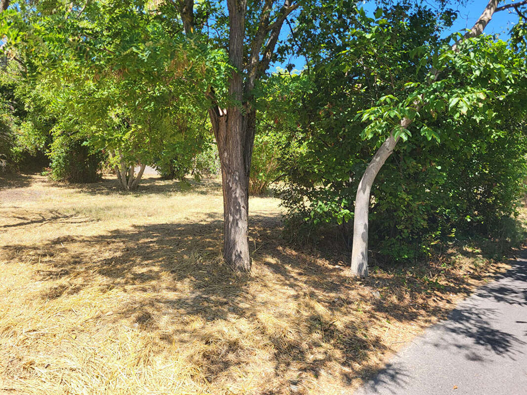 Terrain à DIGNE-LES-BAINS