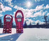 Commerce à HABERE-POCHE