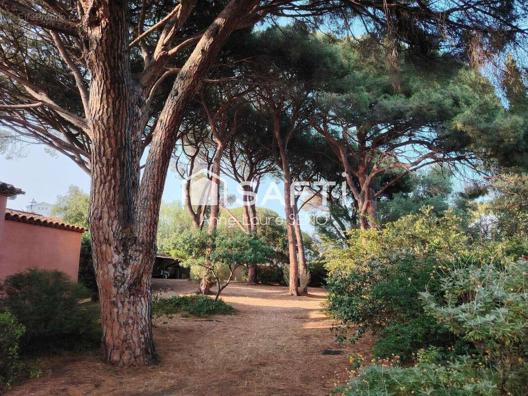 Photo 2 - Maison à CAVALAIRE-SUR-MER