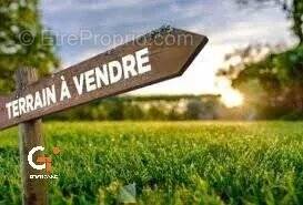 Terrain à ANNEVILLE-AMBOURVILLE