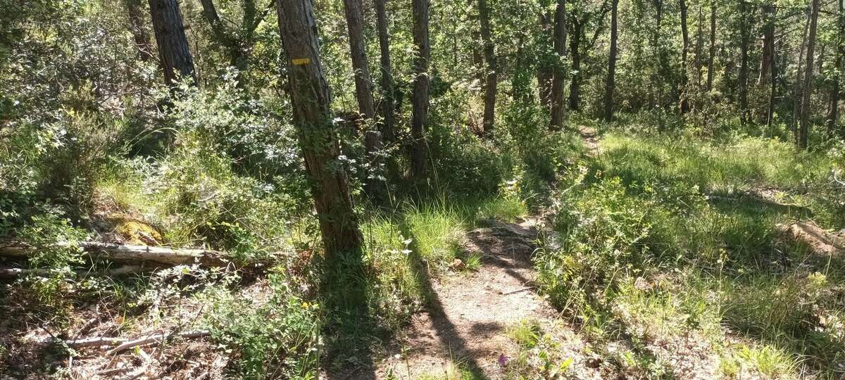 Terrain à RENNES-LE-CHATEAU