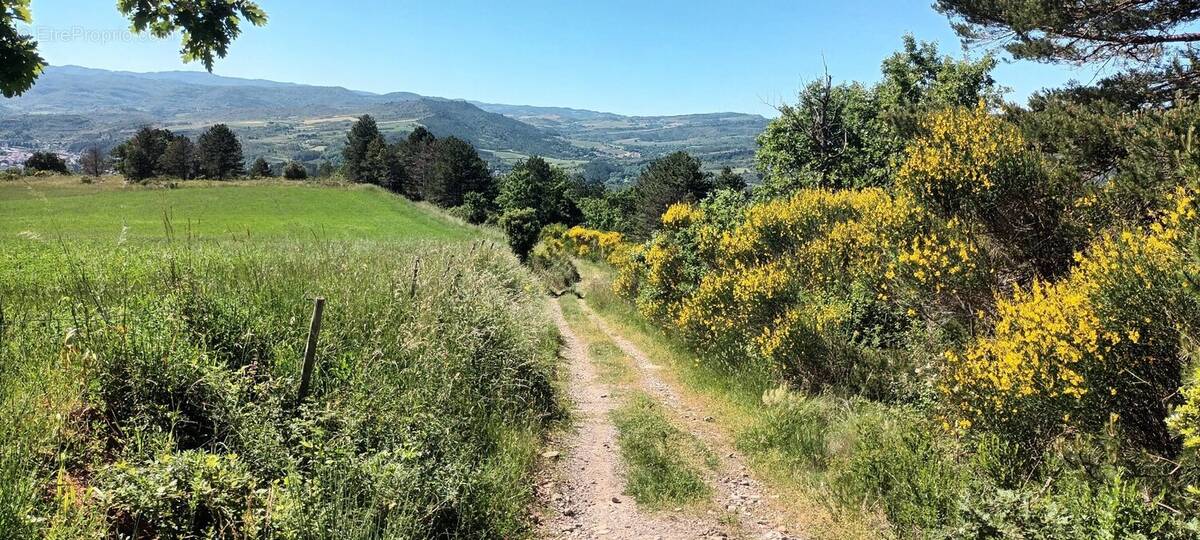 Terrain à RENNES-LE-CHATEAU