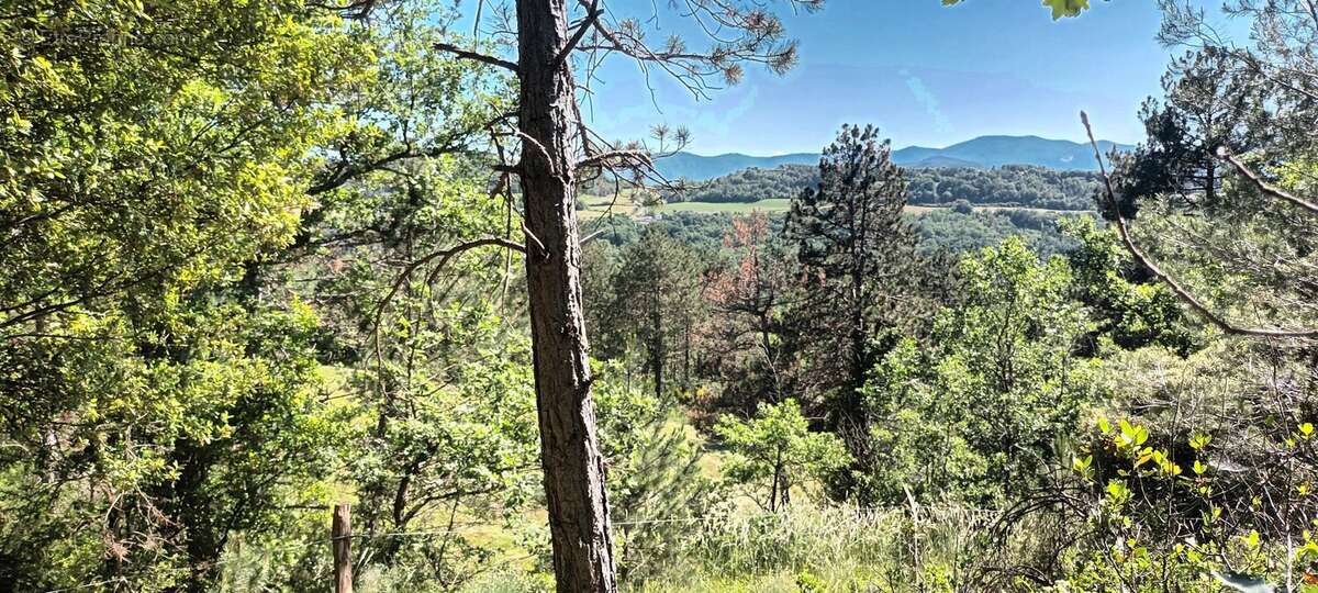 Terrain à RENNES-LE-CHATEAU