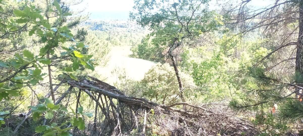 Terrain à RENNES-LE-CHATEAU