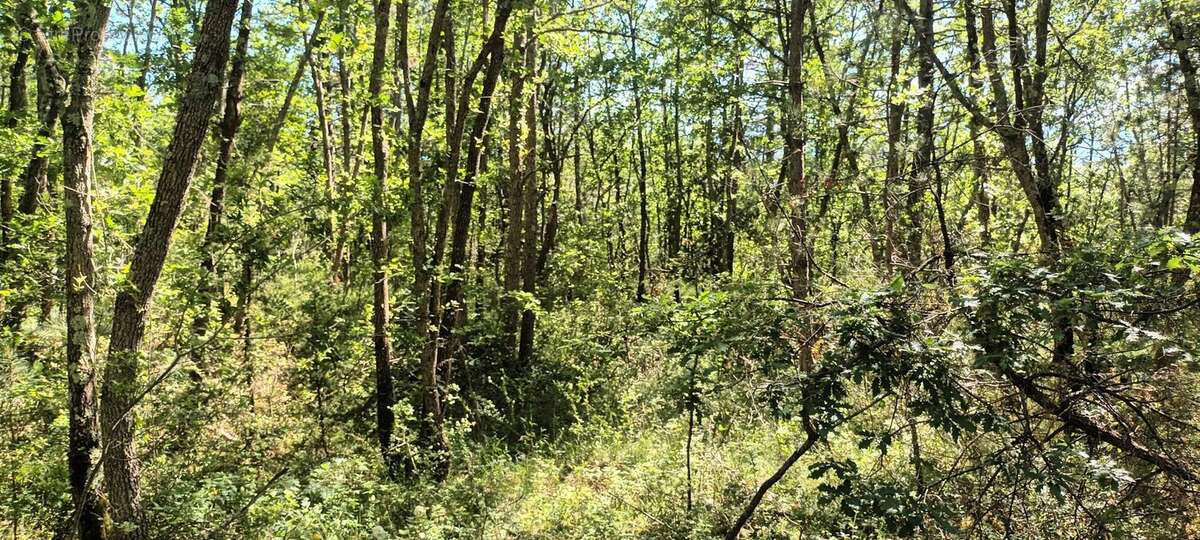 Terrain à RENNES-LE-CHATEAU