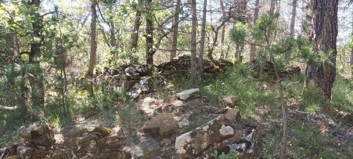 Terrain à RENNES-LE-CHATEAU