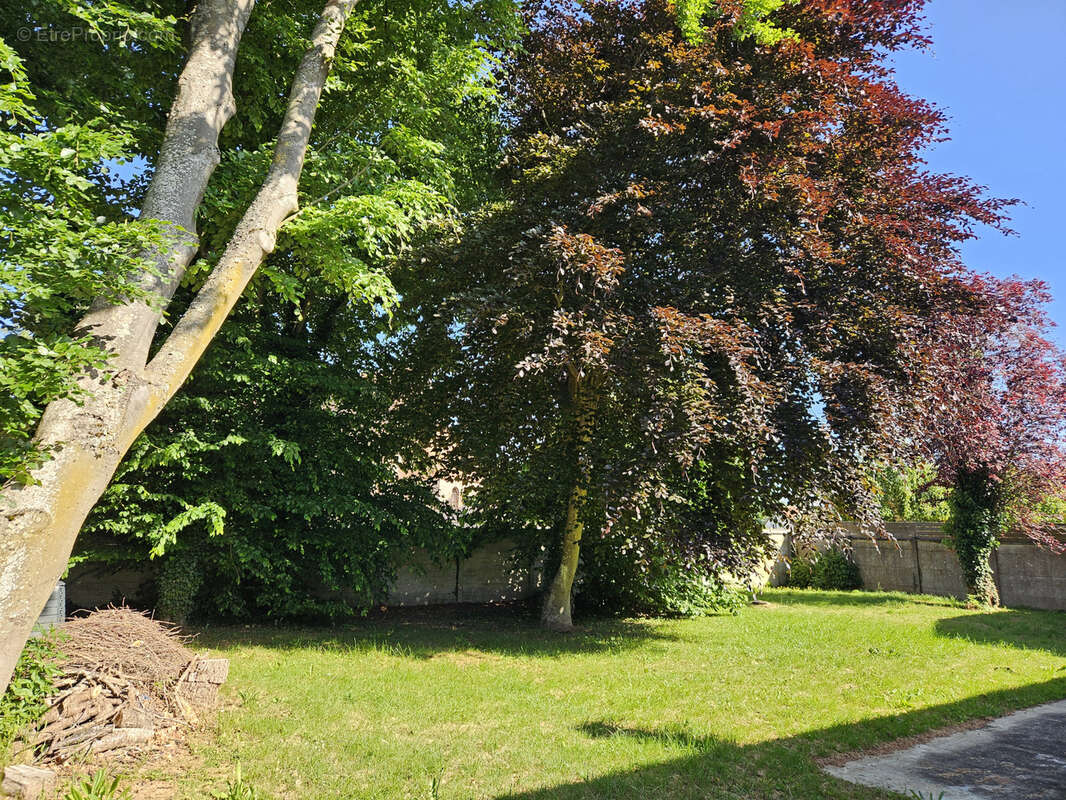 Maison à SAINT-LUPERCE