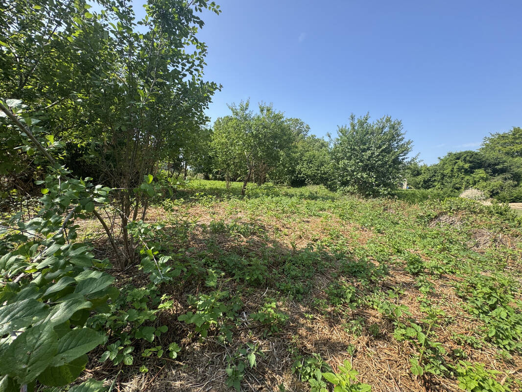 Terrain à NEUILLY-SAINT-FRONT