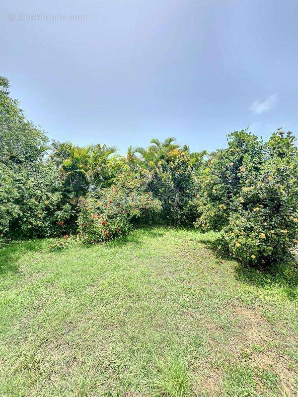 Maison à PETIT-BOURG