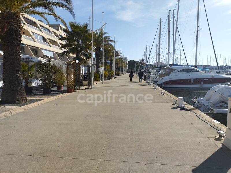 Commerce à LE GRAU-DU-ROI