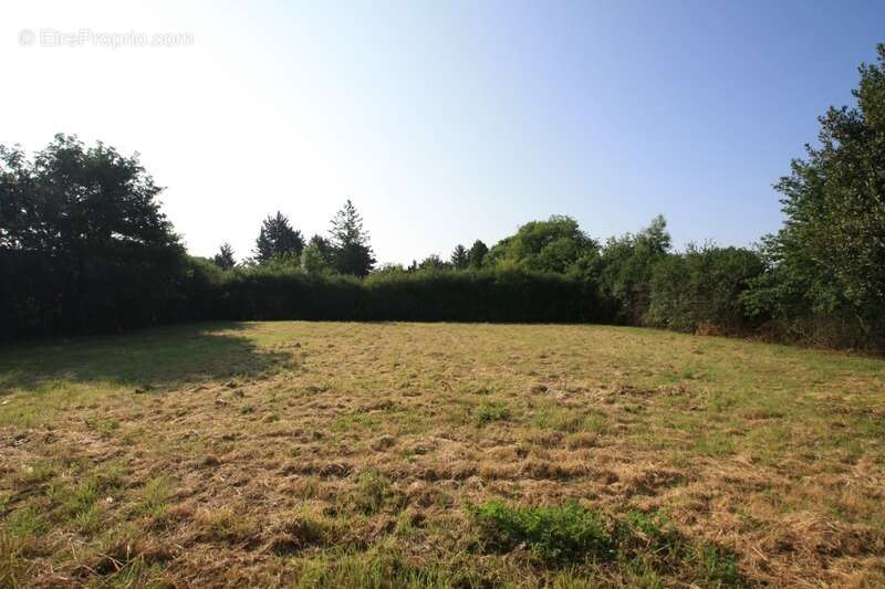 Maison à SALIGNY-SUR-ROUDON