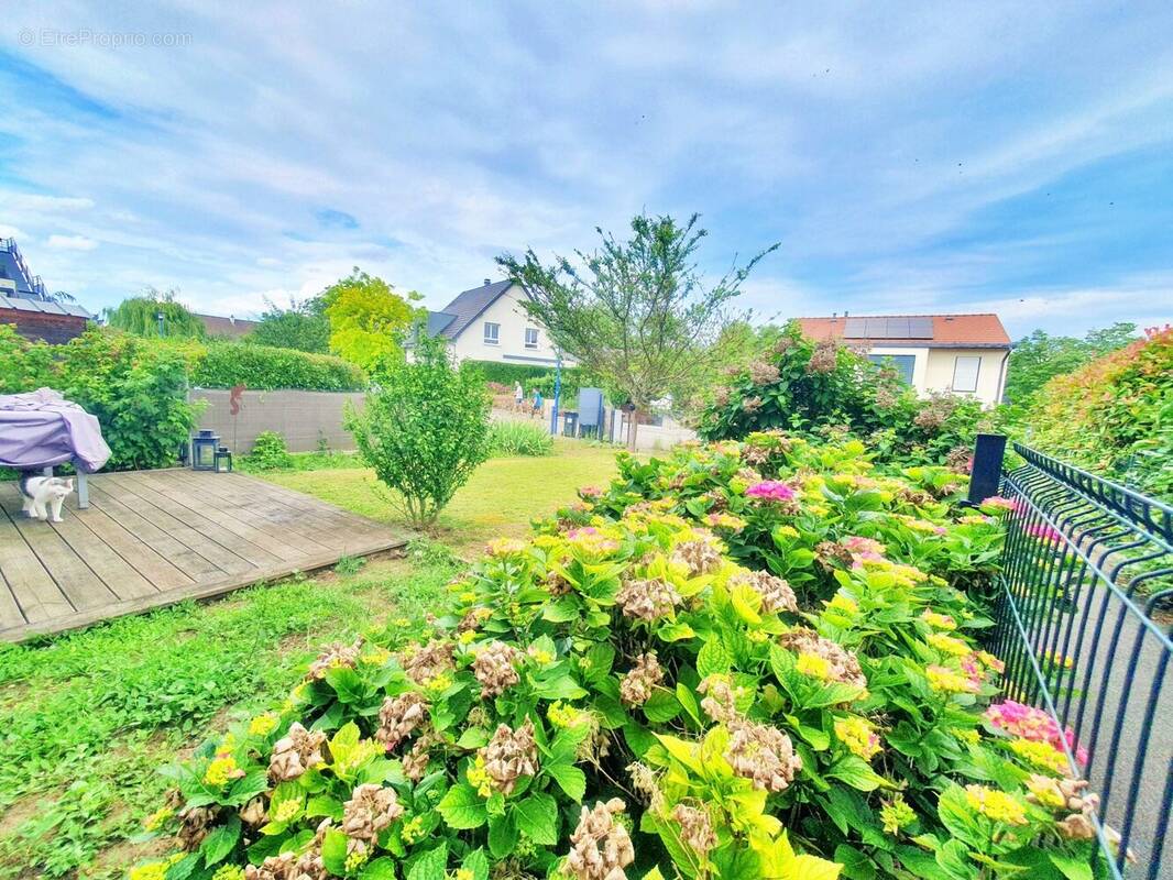 Appartement à SIERENTZ