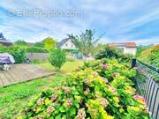 Appartement à SIERENTZ