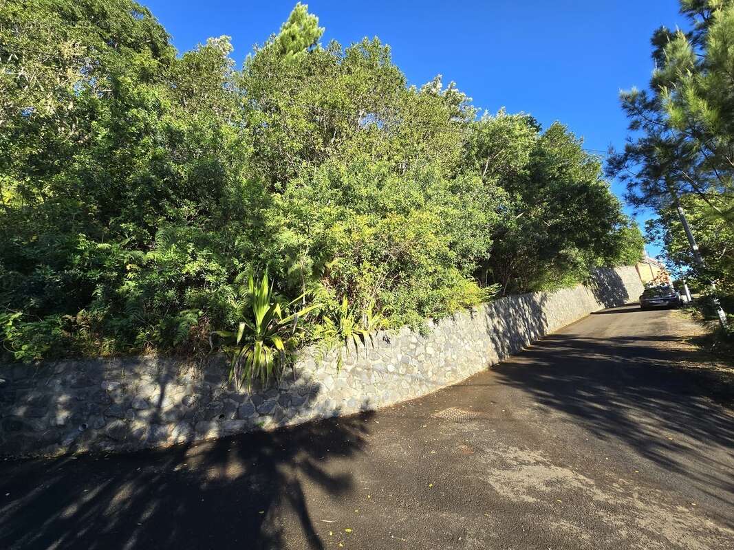 Terrain à SAINT-DENIS