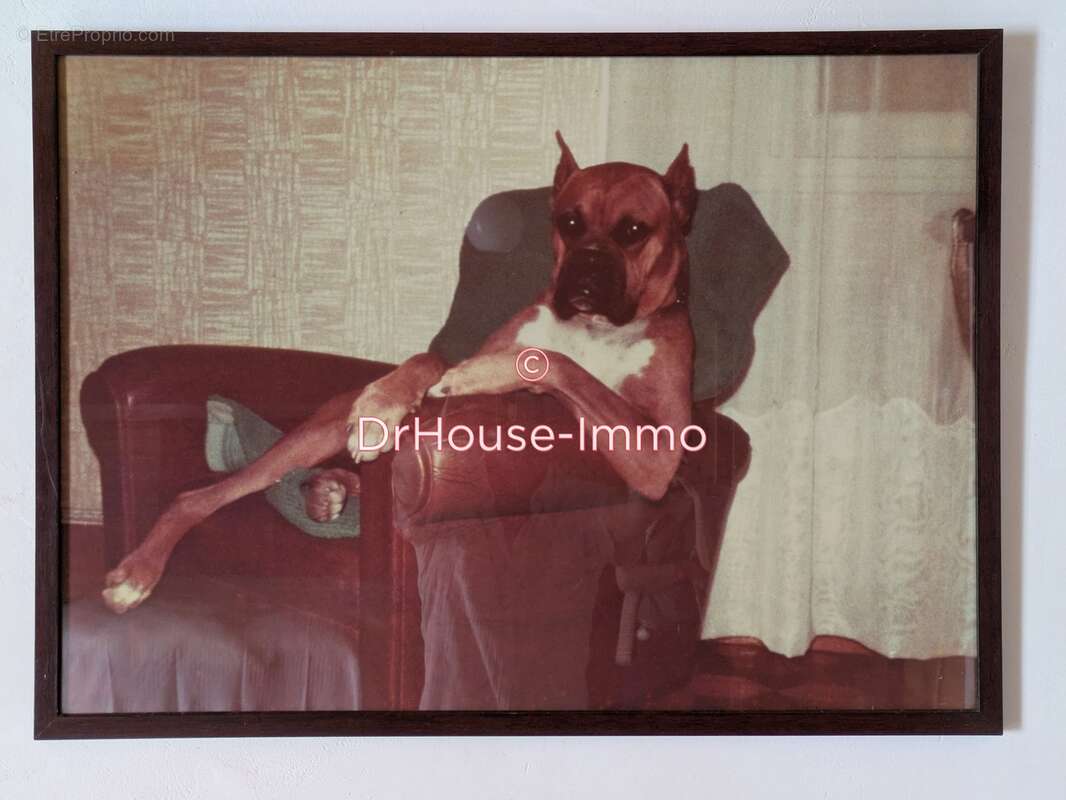 Maison à FRAYSSINET-LE-GELAT