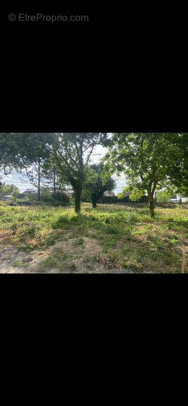 Terrain à MERICOURT