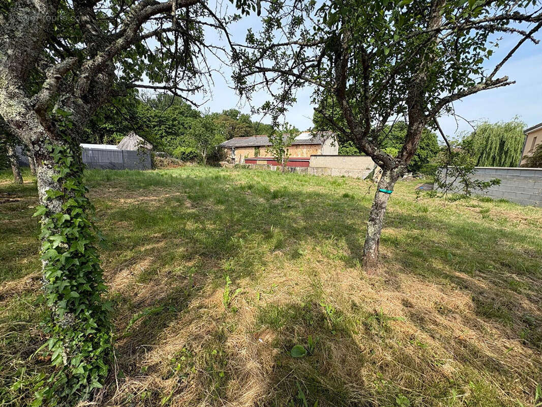 Terrain à VOUNEUIL-SOUS-BIARD