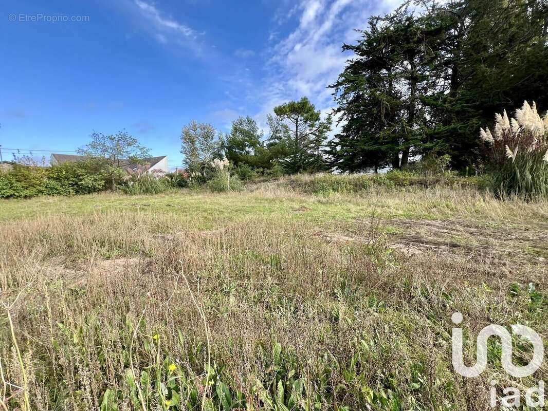 Photo 3 - Terrain à AGON-COUTAINVILLE