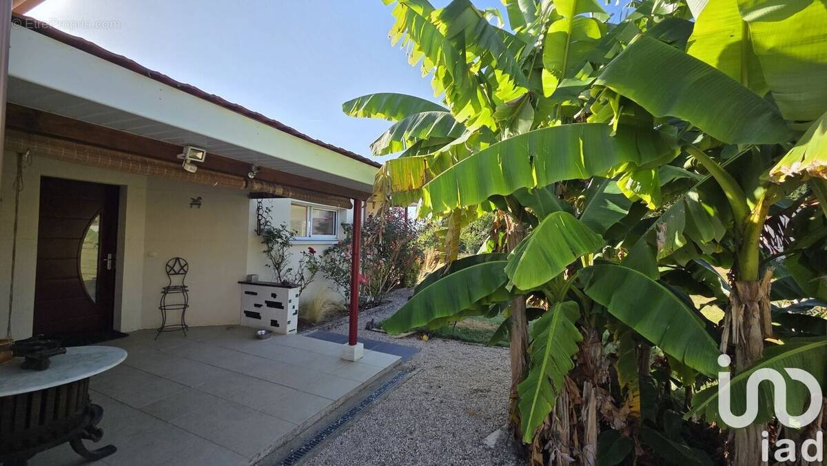 Photo 1 - Maison à HAGET