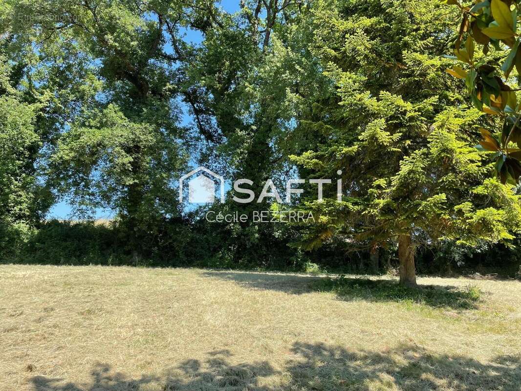 Photo 5 - Maison à LAURAET