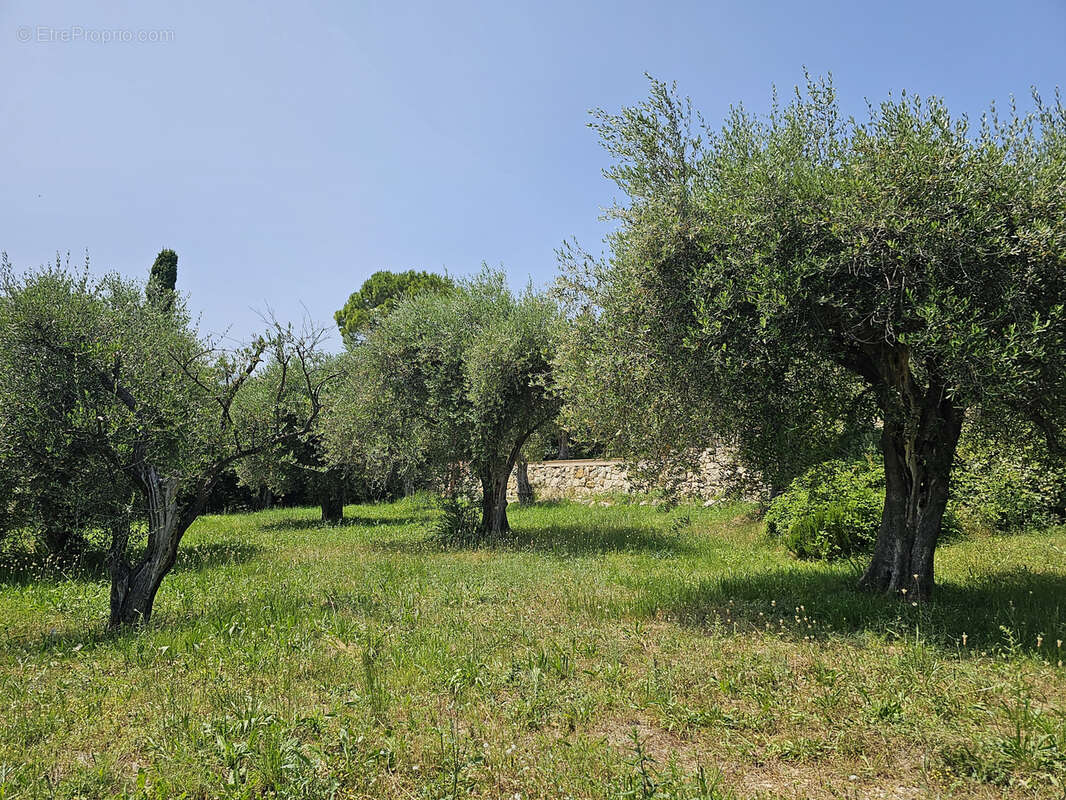 Maison à CHATEAUNEUF-GRASSE