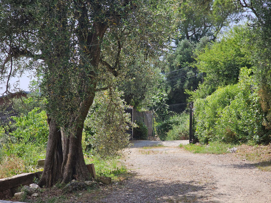 Maison à CHATEAUNEUF-GRASSE