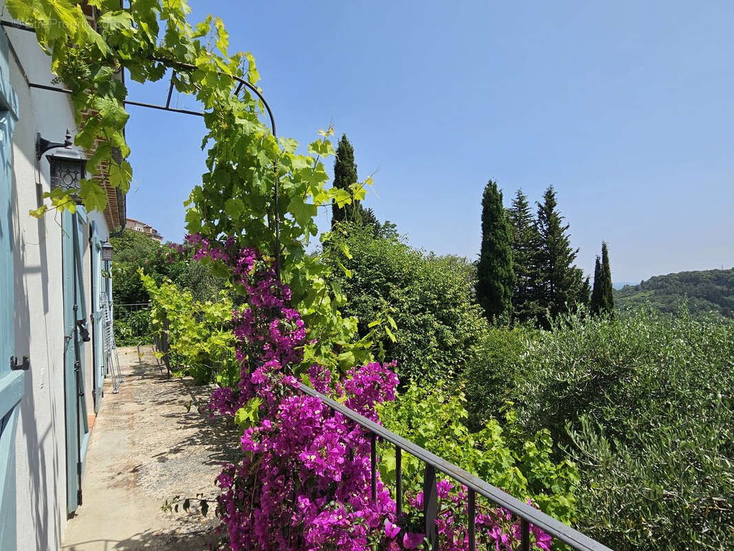 Maison à CHATEAUNEUF-GRASSE