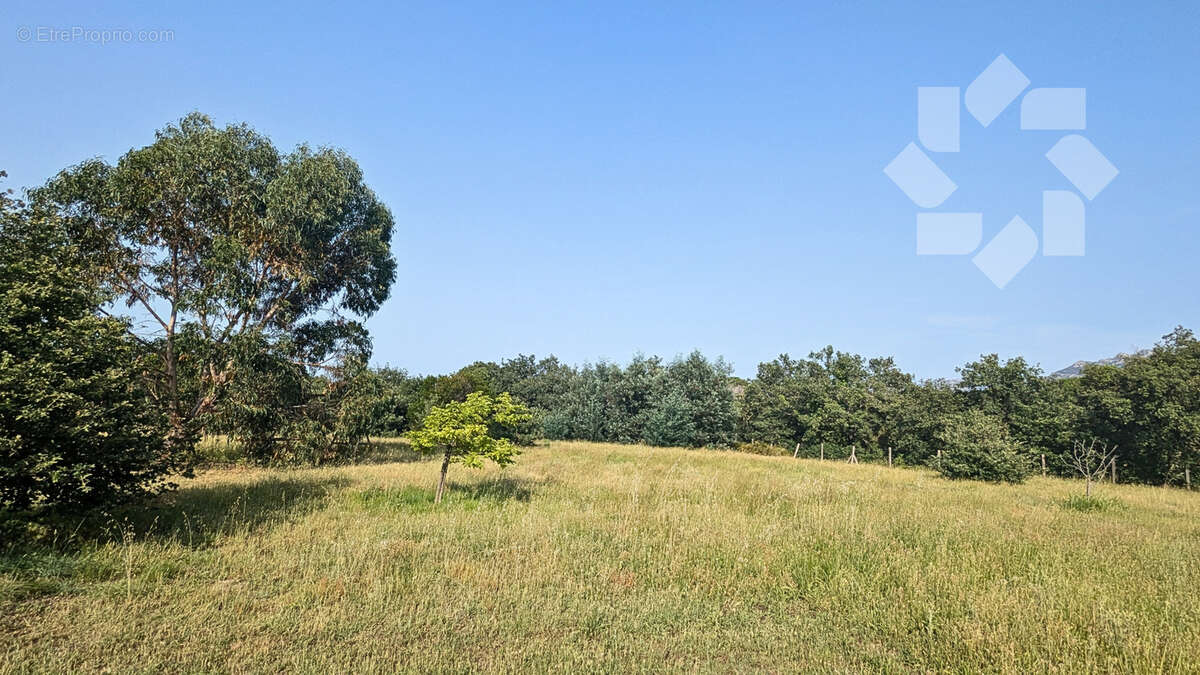 Terrain à LAROQUE-DES-ALBERES