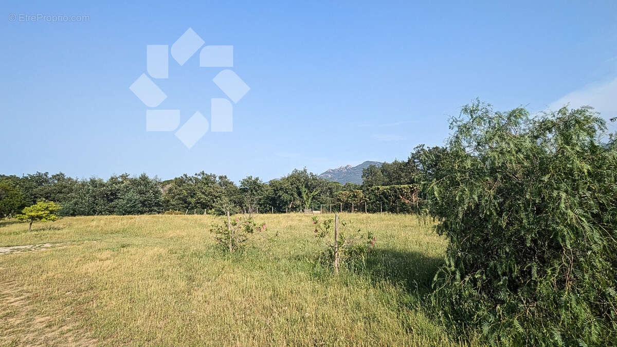 Terrain à LAROQUE-DES-ALBERES