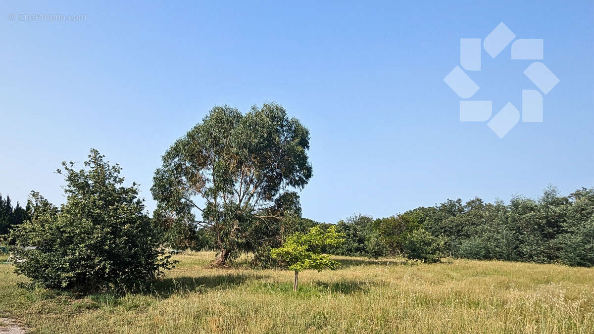 Terrain à LAROQUE-DES-ALBERES