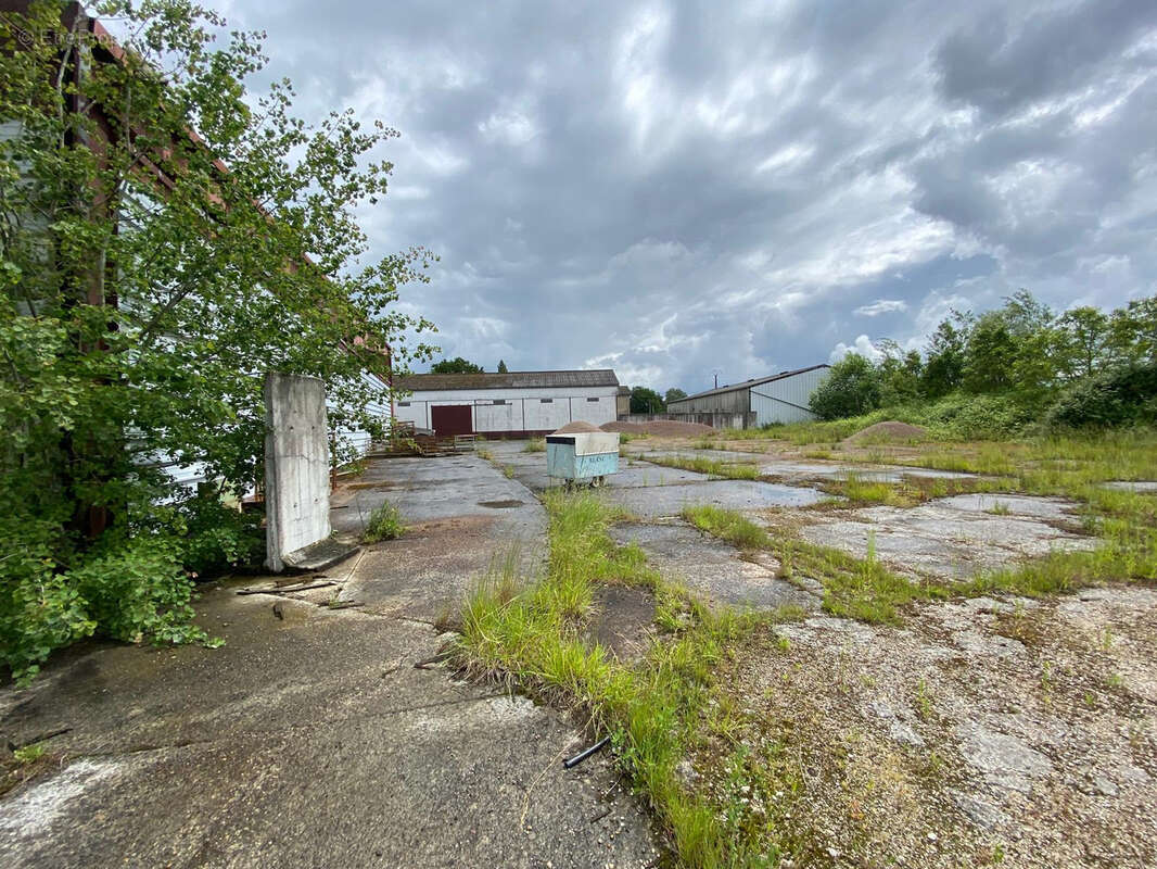 Commerce à METZ-ROBERT