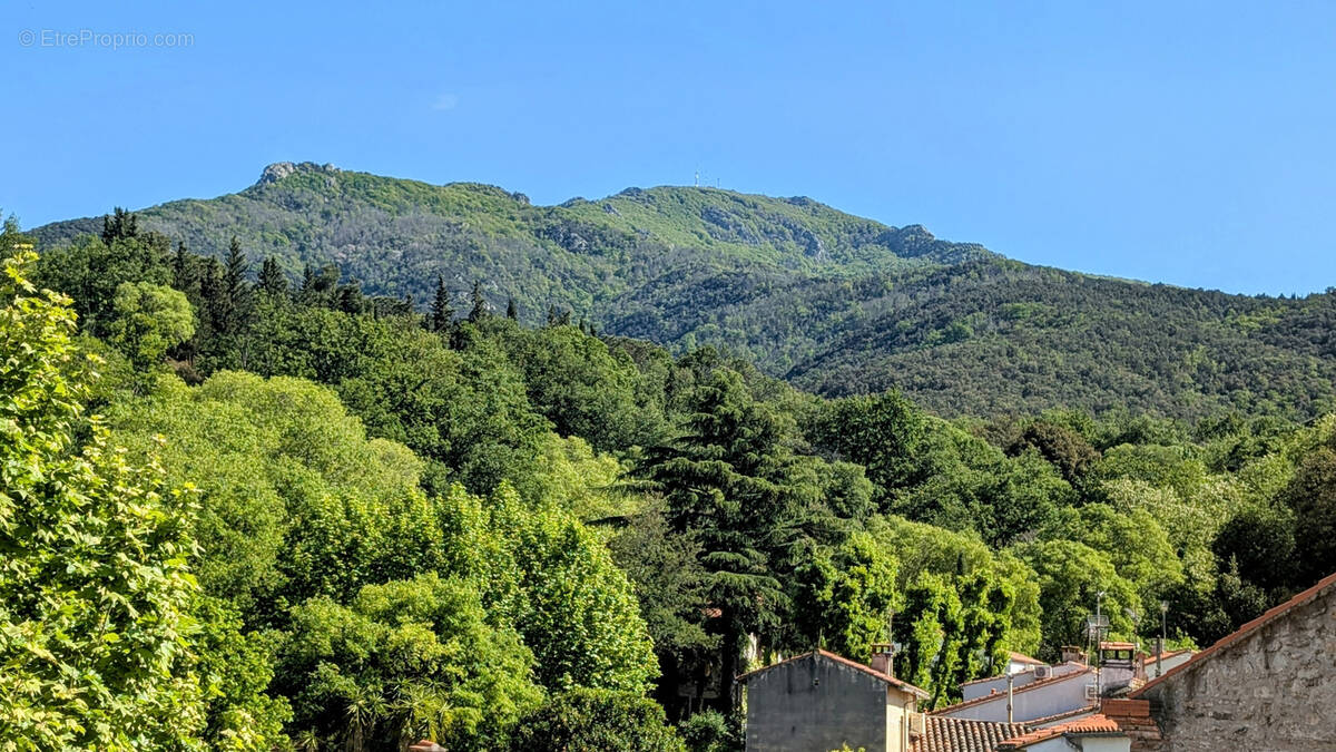 Maison à LAROQUE-DES-ALBERES
