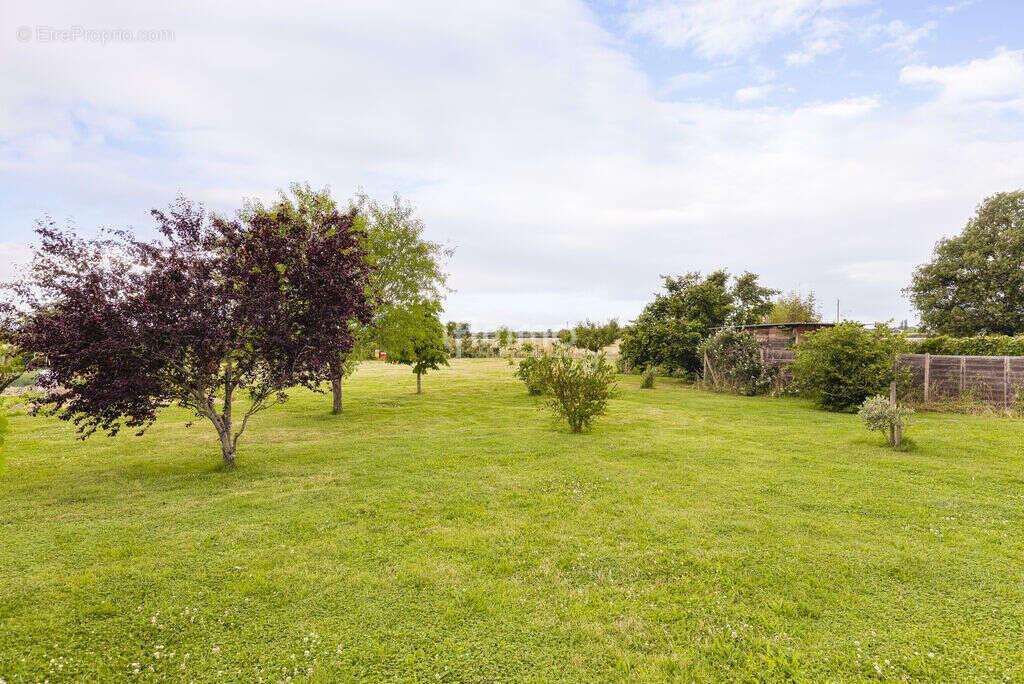 Maison à CORNEBARRIEU