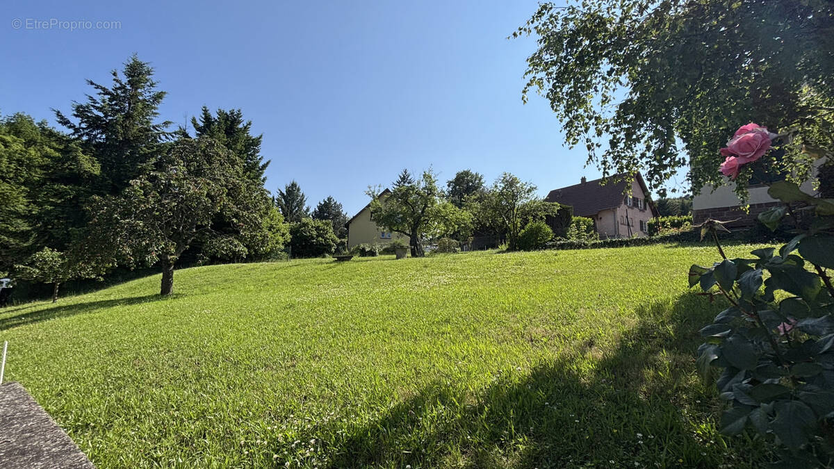 Terrain à OTTERSTHAL