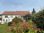 Maison à LA FERTE-GAUCHER