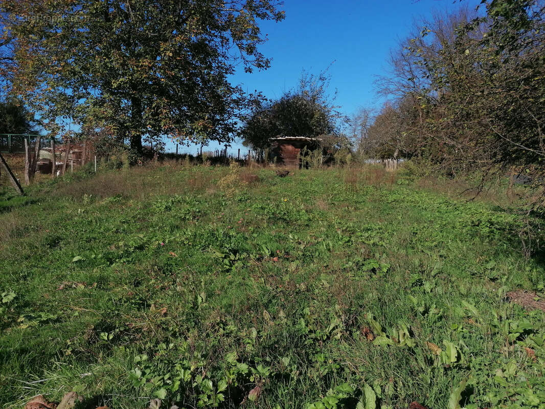 Terrain à ABELCOURT