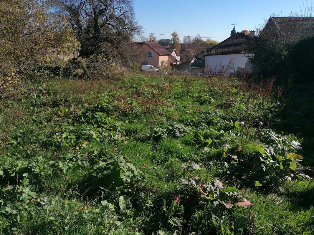 Terrain à ABELCOURT