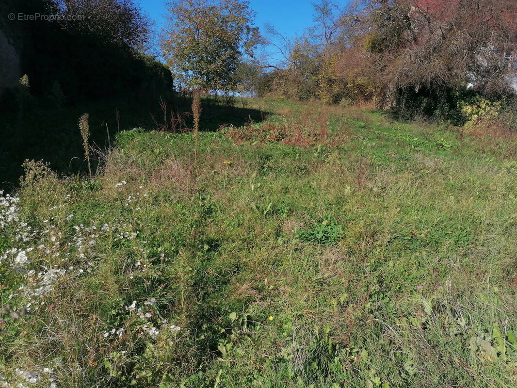 Terrain à ABELCOURT