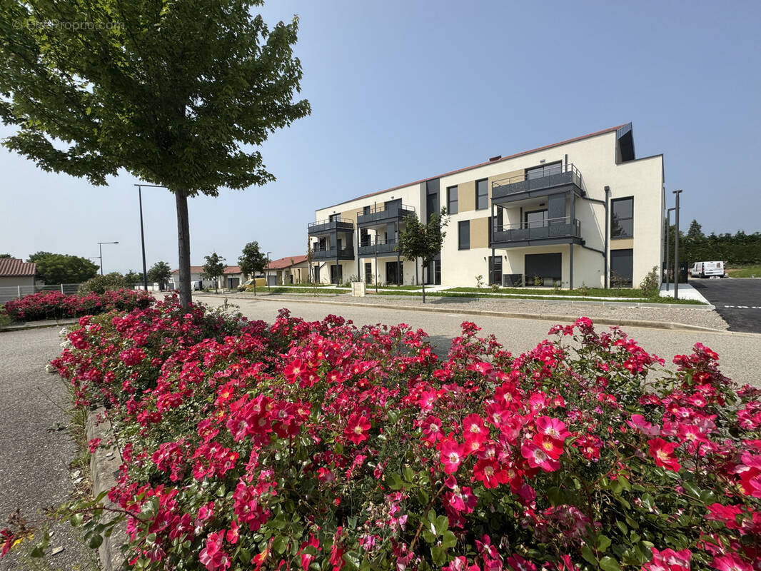 Appartement à DAVEZIEUX