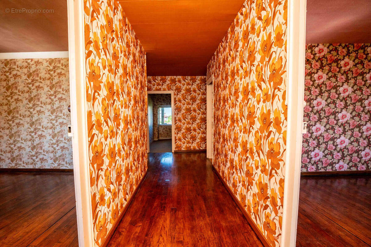 Photo 7 - Maison à SAINT-PALAIS