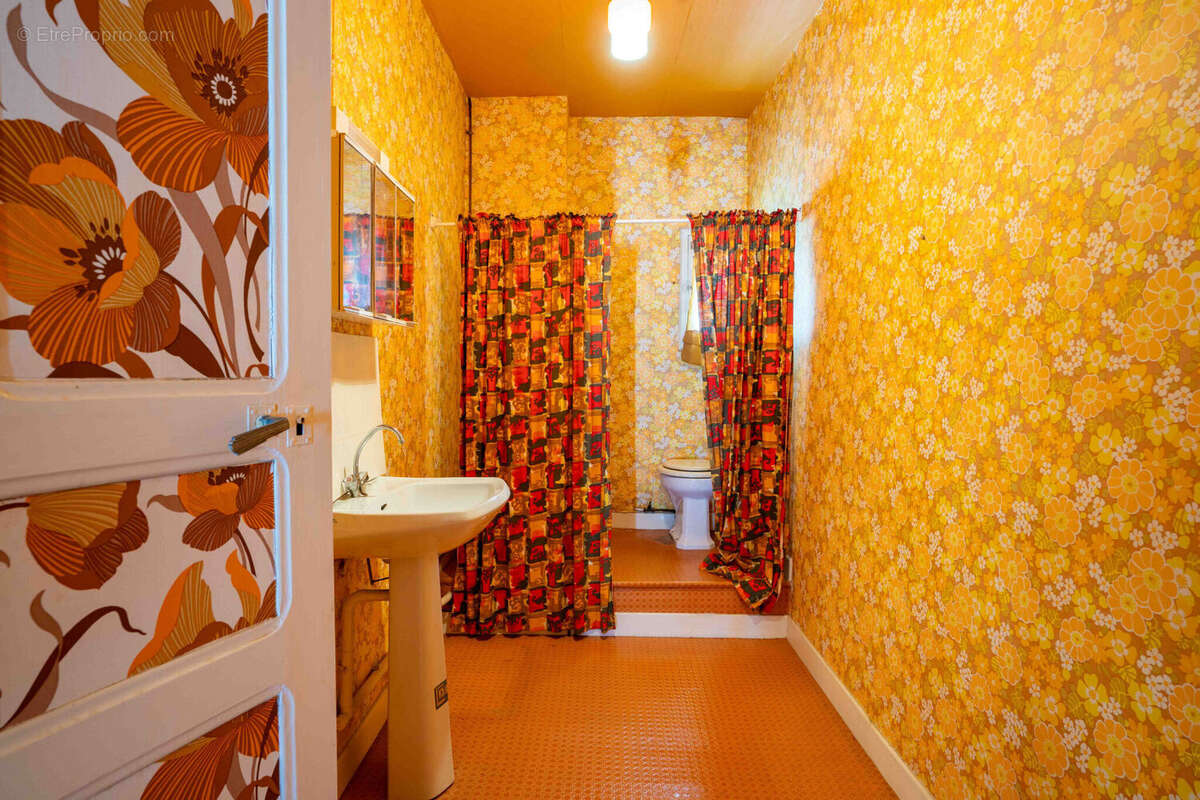 Photo 8 - Maison à SAINT-PALAIS