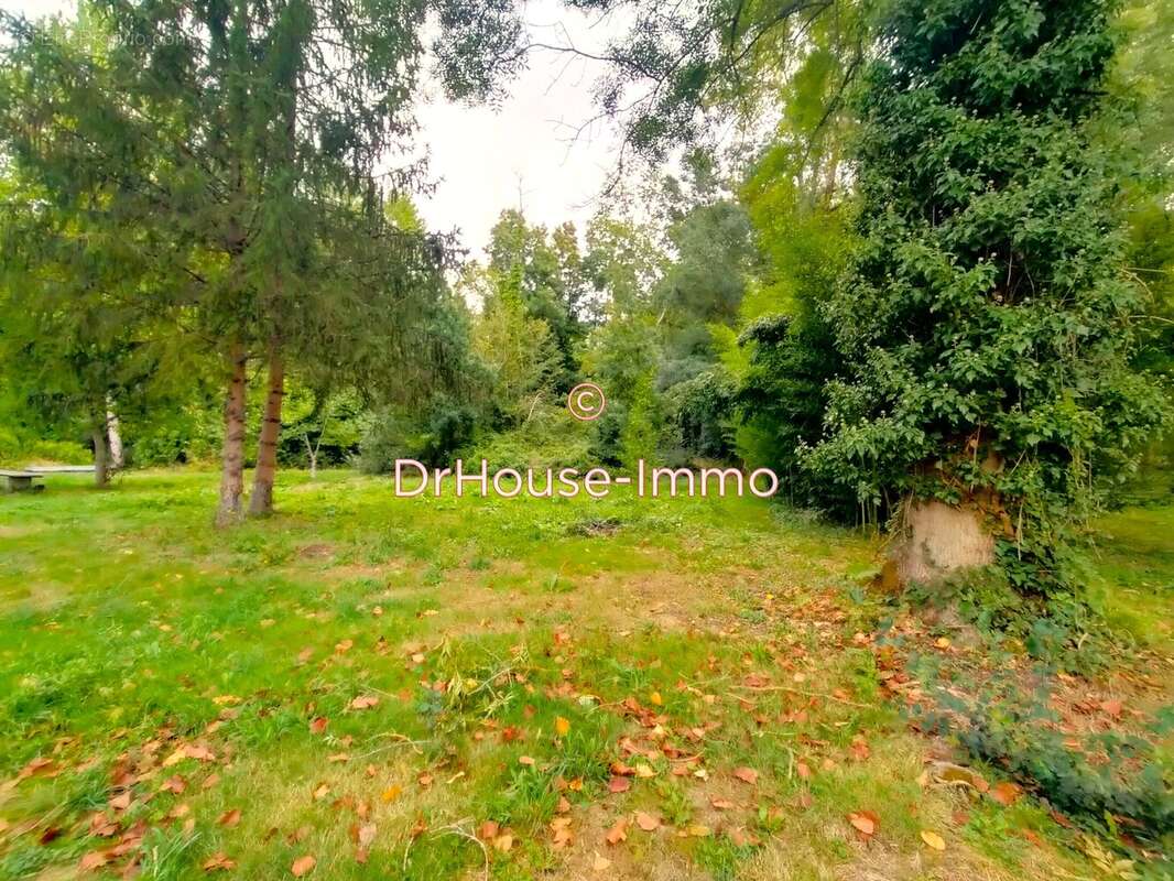 Terrain à SAINT-GEORGES-LES-BAILLARGEAUX